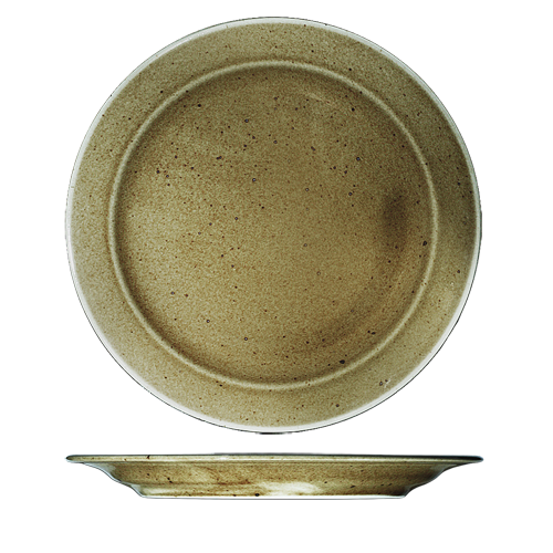 trx2131 flat plate 31 cm - Image 1